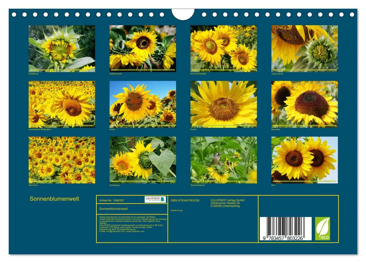 Bild: 9783457803226 | Sonnenblumenwelt (Wandkalender 2026 DIN A4 quer), CALVENDO...