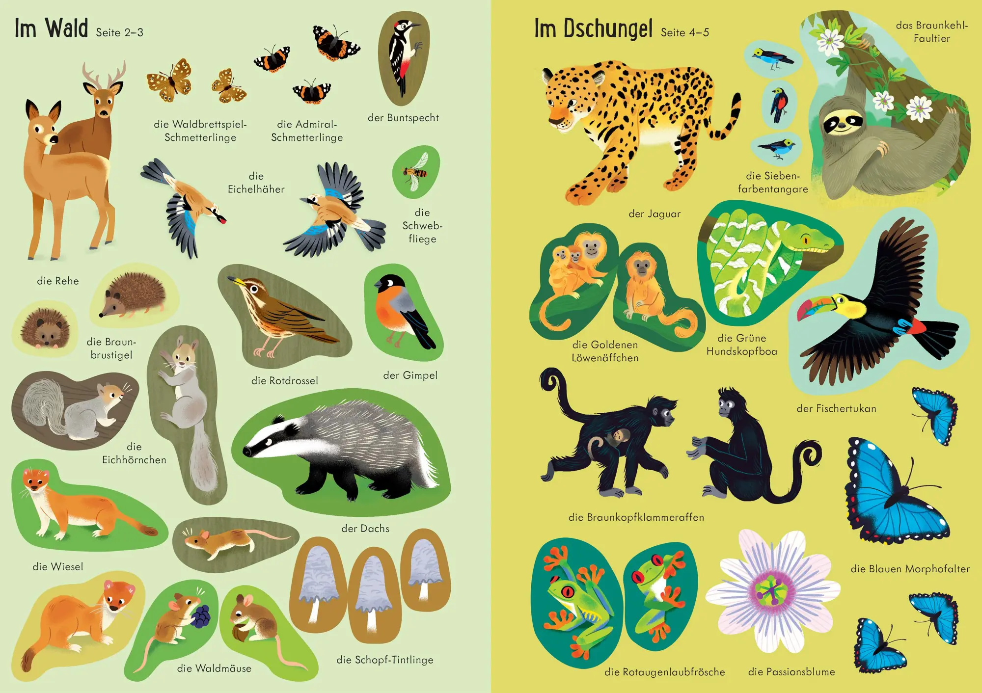 Bild: 9781035703326 | Mein Immer-wieder-Stickerbuch: Tiere der Welt | Caroline Young | Buch