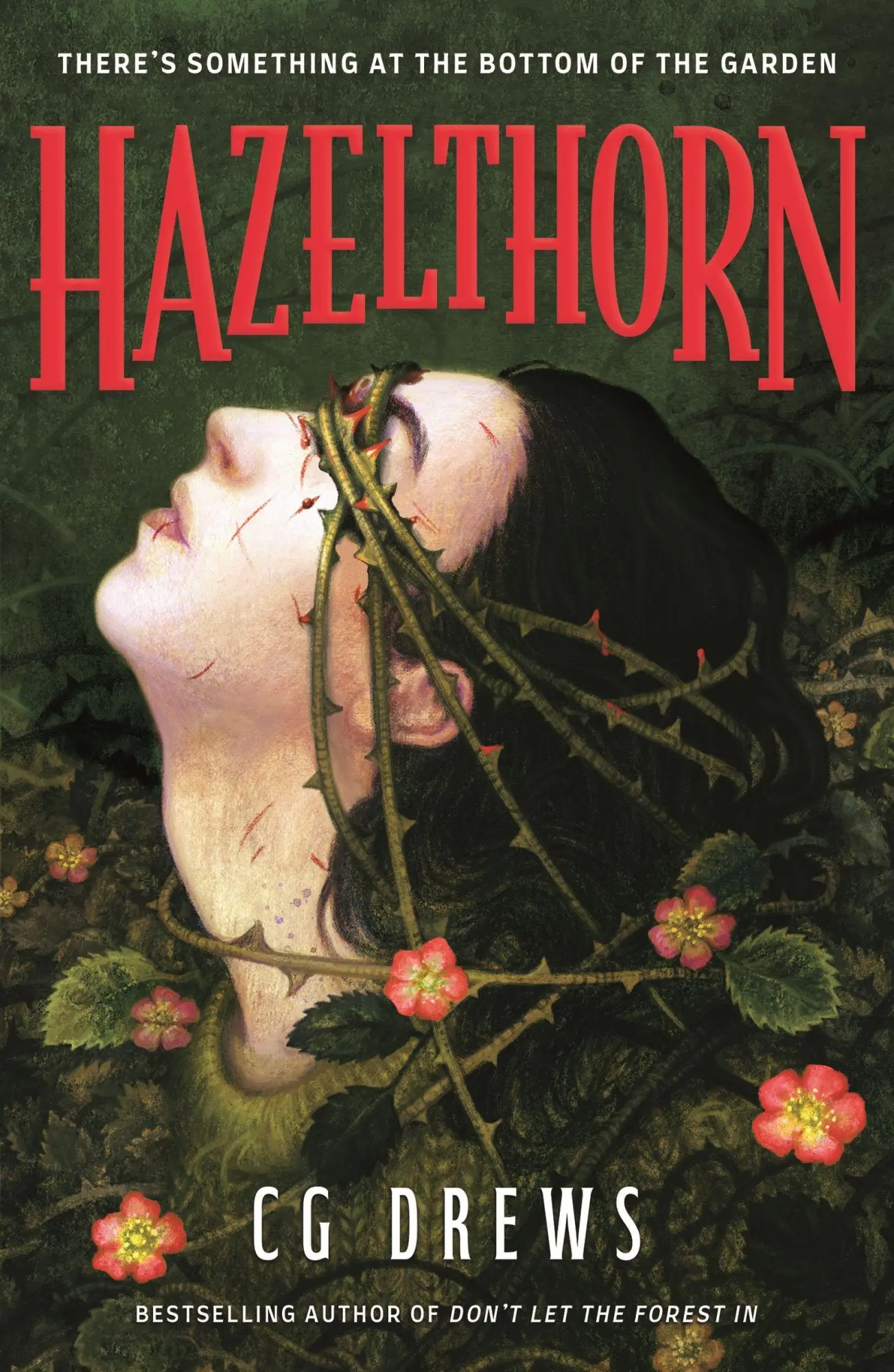Cover: 9781444983326 | Hazelthorn | Cg Drews | Taschenbuch | 356 S. | Englisch | 2025