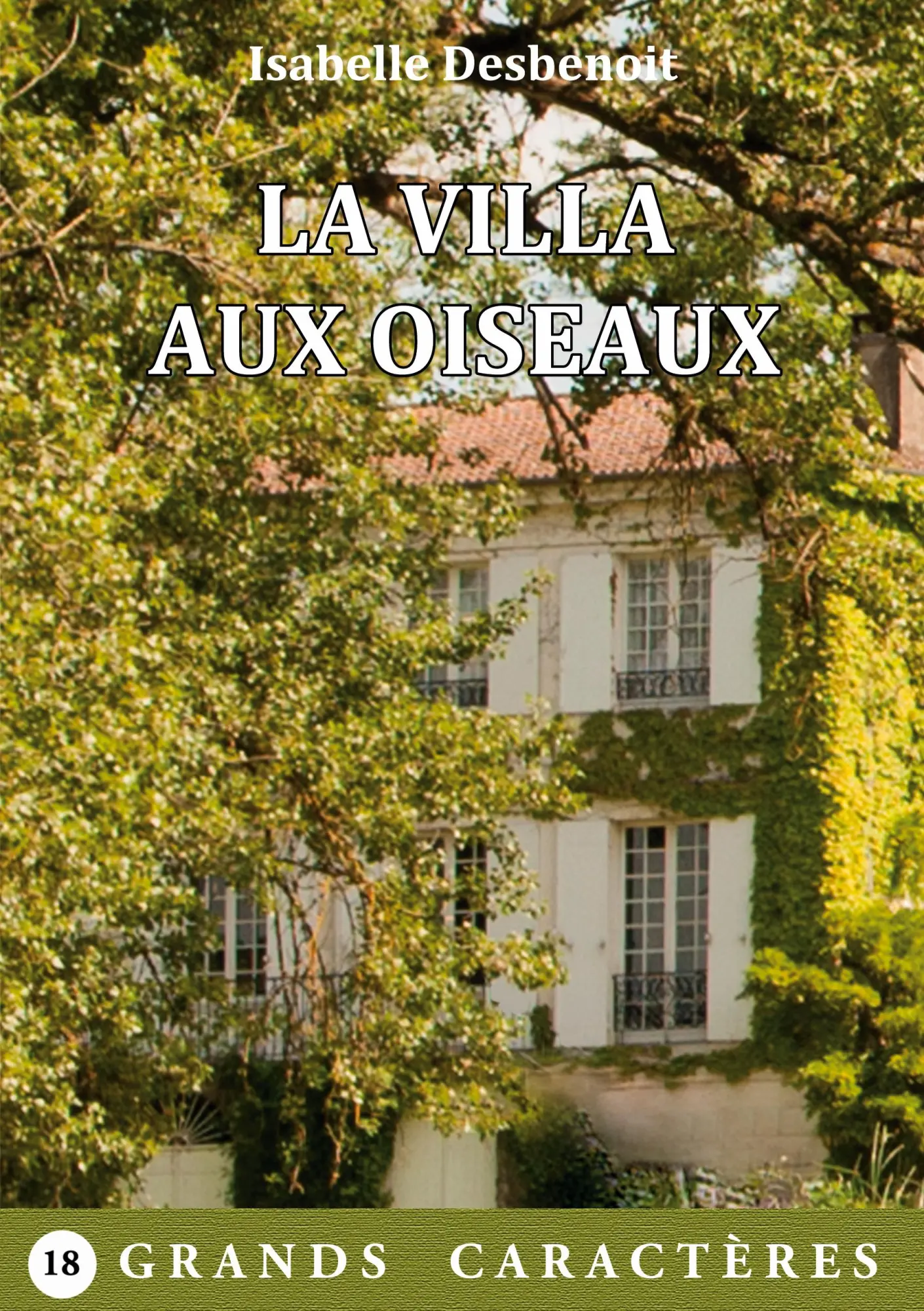 Cover: 9782322483426 | La Villa aux Oiseaux | livre gros caractères | Isabelle Desbenoit