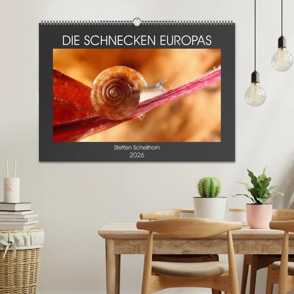 Bild: 9783457643426 | DIE SCHNECKEN EUROPAS (Wandkalender 2026 DIN A2 quer), CALVENDO...