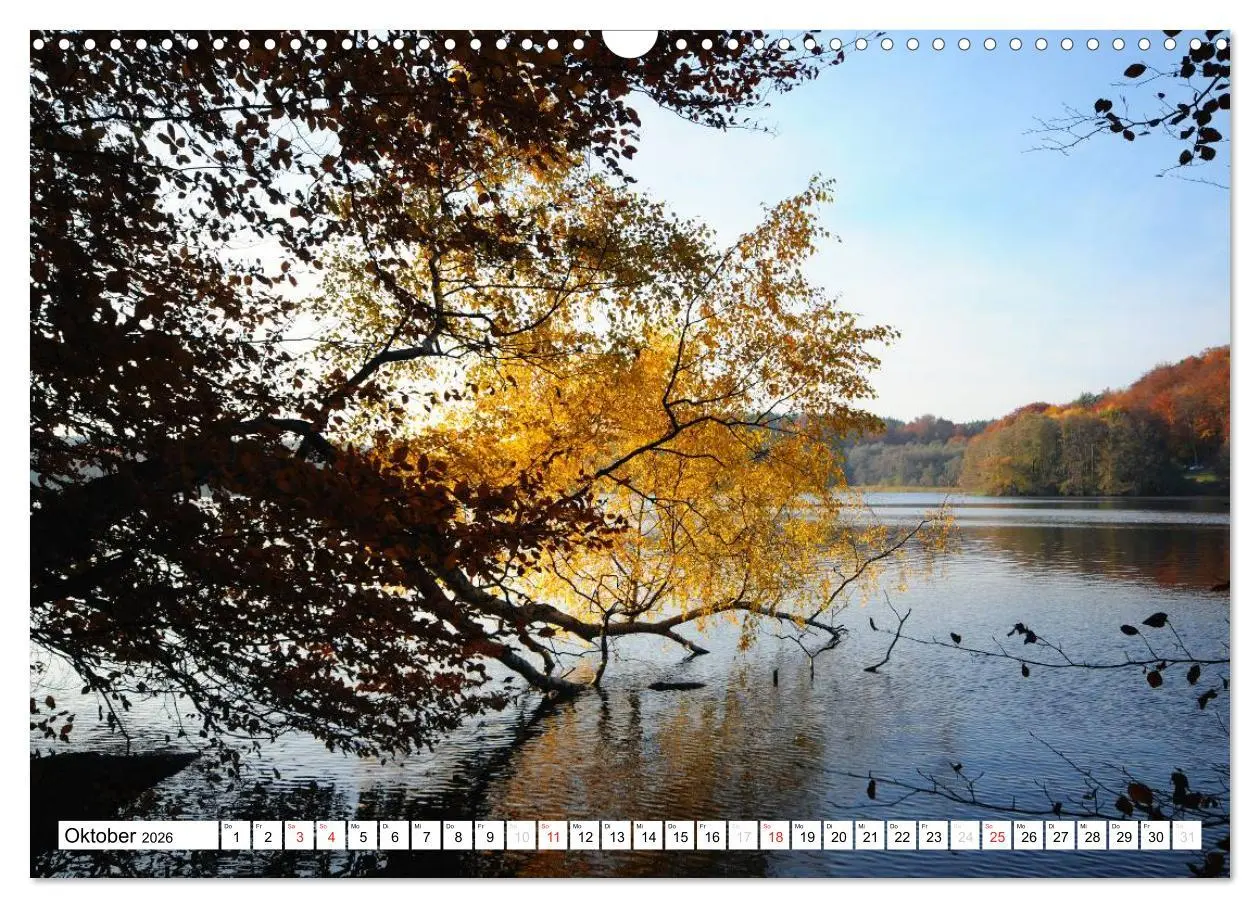 Bild: 9783457953426 | Vier Jahreszeiten im Land Brandenburg (Wandkalender 2026 DIN A3...