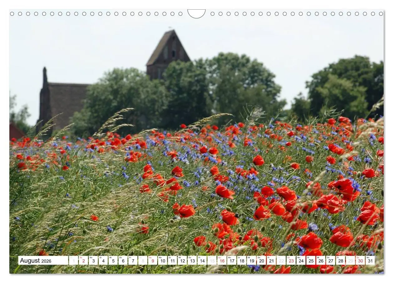 Bild: 9783457953426 | Vier Jahreszeiten im Land Brandenburg (Wandkalender 2026 DIN A3...
