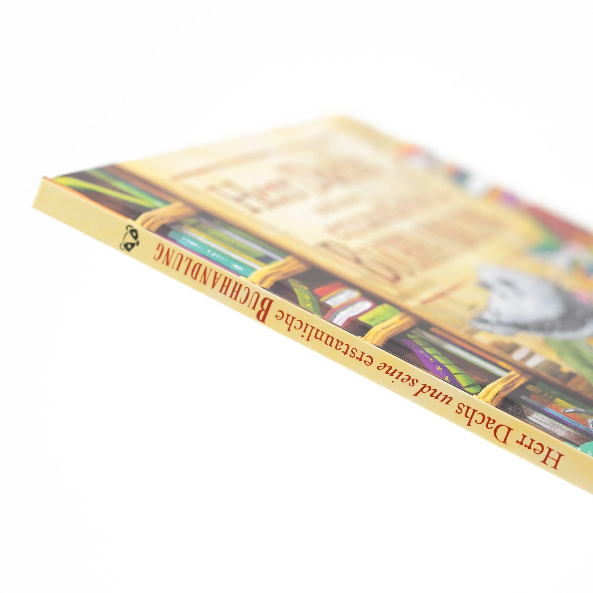 Bild: 9783505153426 | Herr Dachs und seine erstaunliche Buchhandlung | Paddy Donnelly | Buch