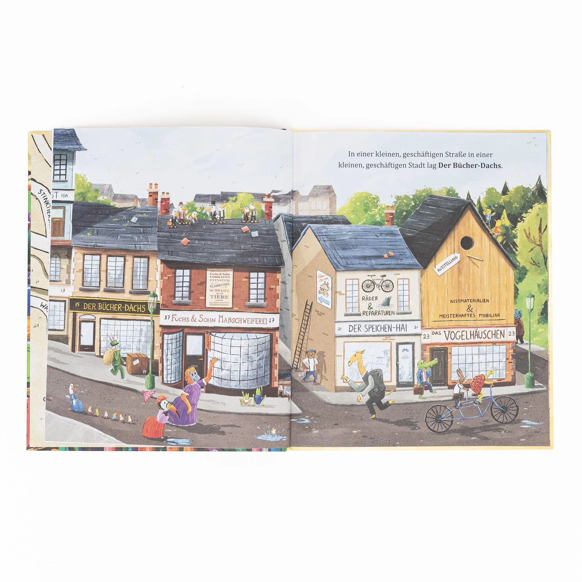 Bild: 9783505153426 | Herr Dachs und seine erstaunliche Buchhandlung | Paddy Donnelly | Buch