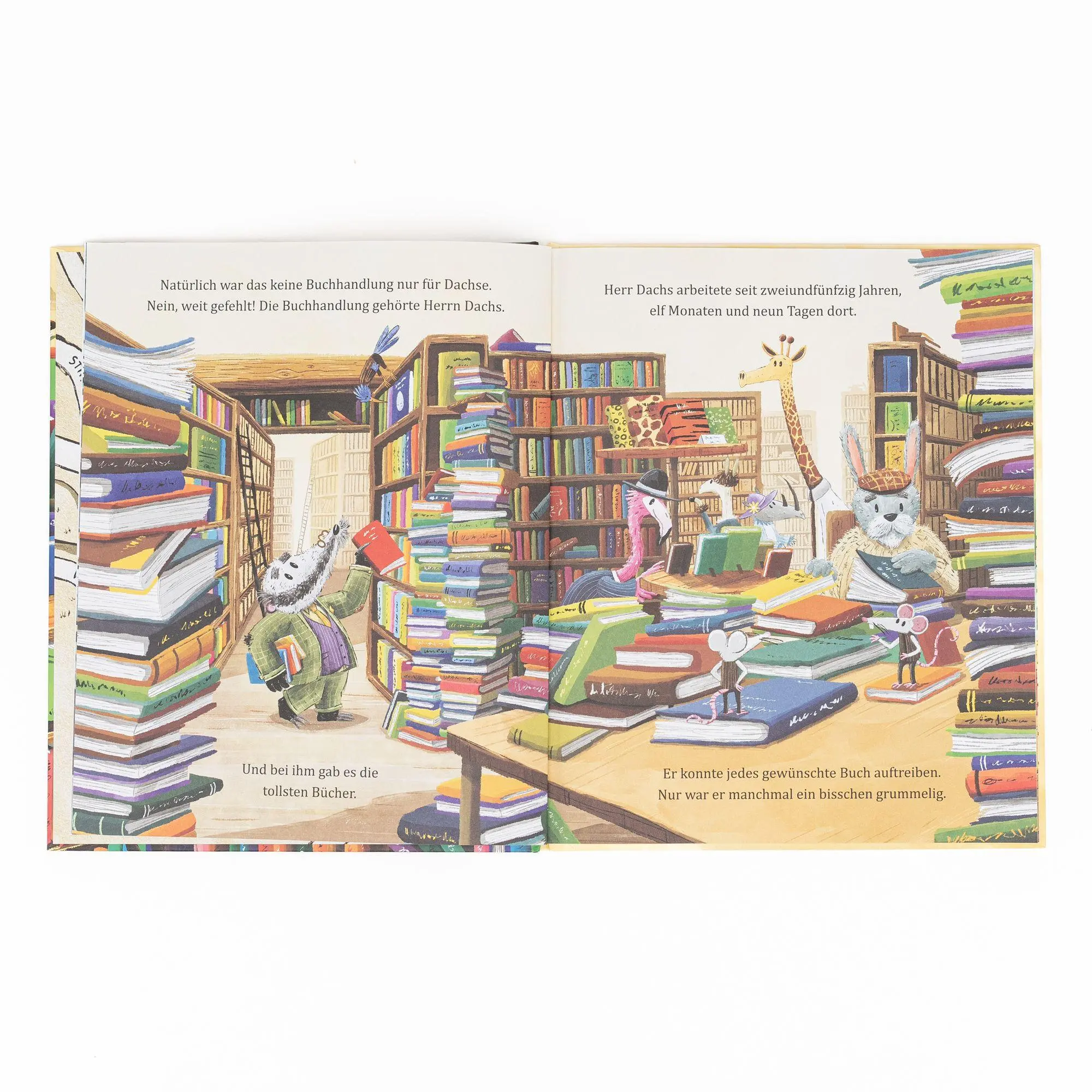 Bild: 9783505153426 | Herr Dachs und seine erstaunliche Buchhandlung | Paddy Donnelly | Buch