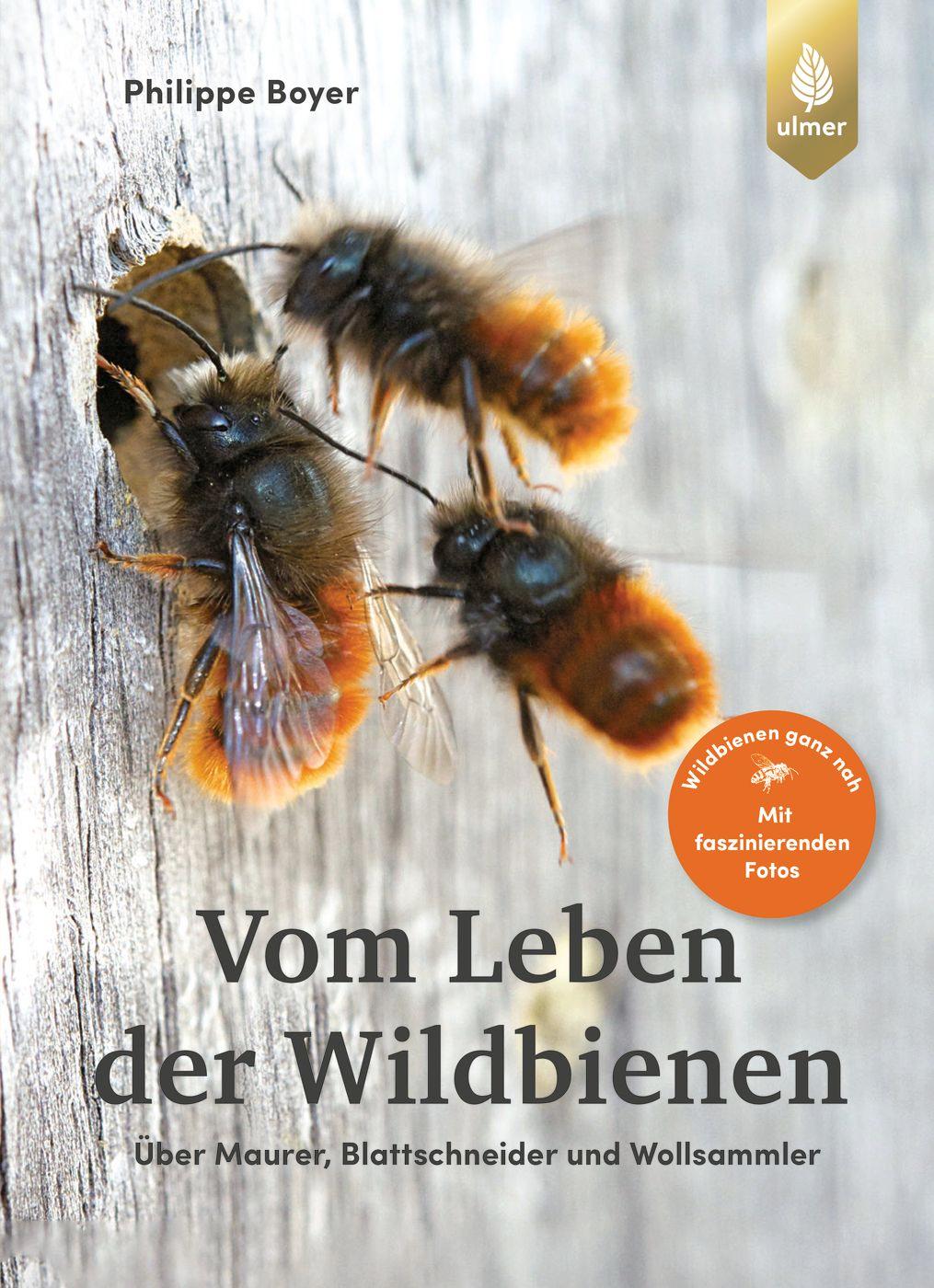 Cover: 9783818613426 | Vom Leben der Wildbienen | Philippe Boyer | Buch | 144 S. | Deutsch