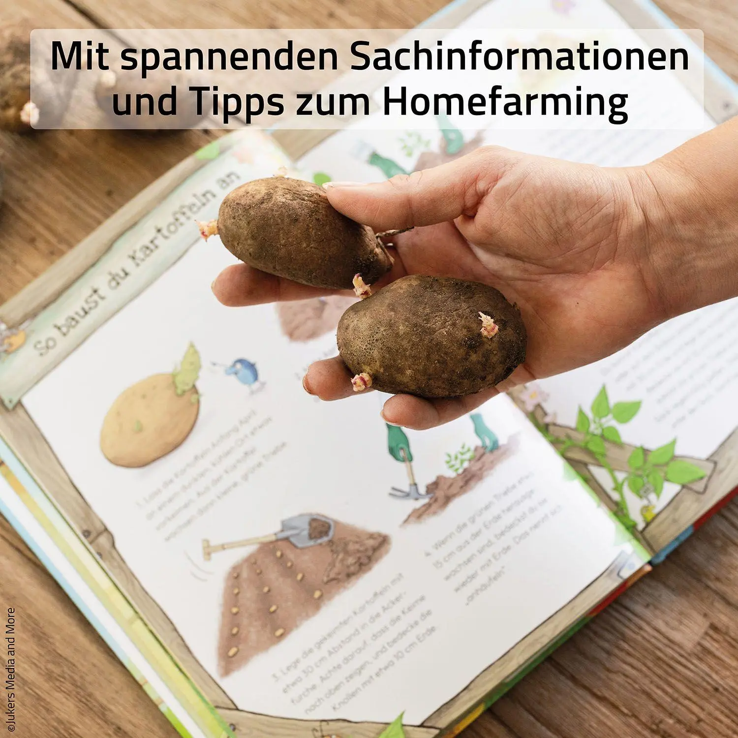 Bild: 9783440183526 | Judiths kleine Farm, Band 3, | Judith Rakers | Buch | Ich finde was