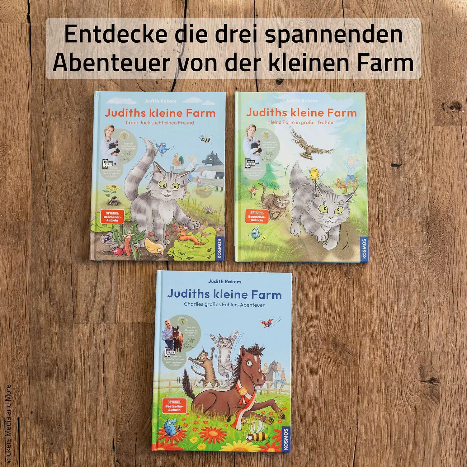 Bild: 9783440183526 | Judiths kleine Farm, Band 3, | Judith Rakers | Buch | Ich finde was