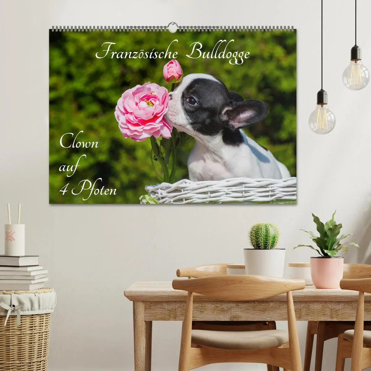 Bild: 9783516033526 | Französische Bulldogge - Clown auf 4 Pfoten (Wandkalender 2026 DIN...
