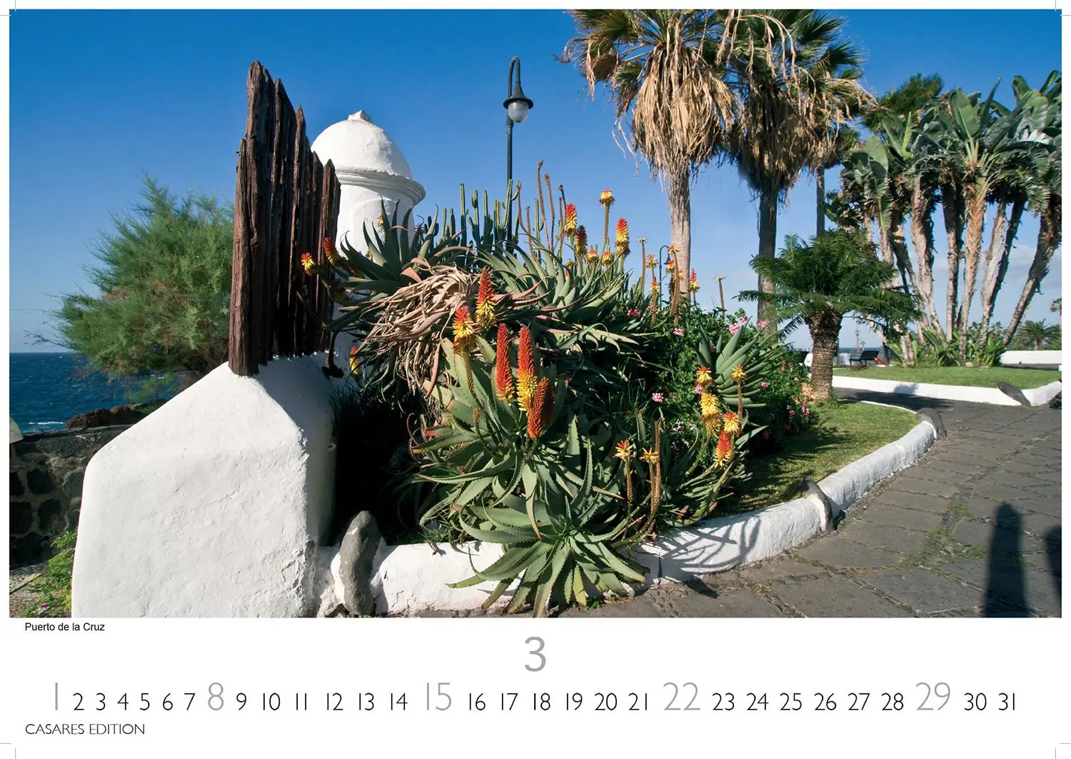 Bild: 9781835243626 | Teneriffa 2026 L 35x50cm | Kalender | 14 S. | Deutsch | 2026