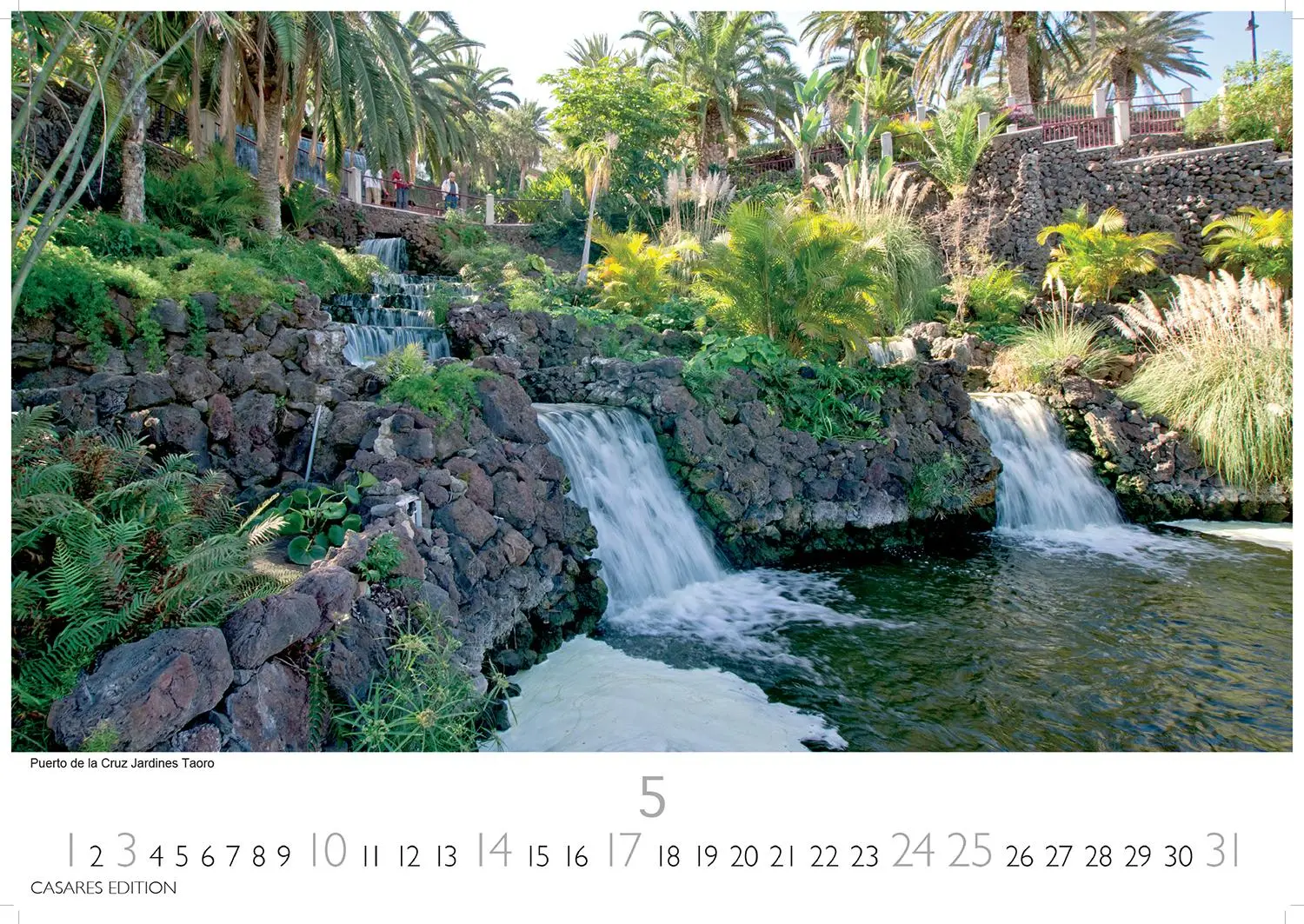 Bild: 9781835243626 | Teneriffa 2026 L 35x50cm | Kalender | 14 S. | Deutsch | 2026