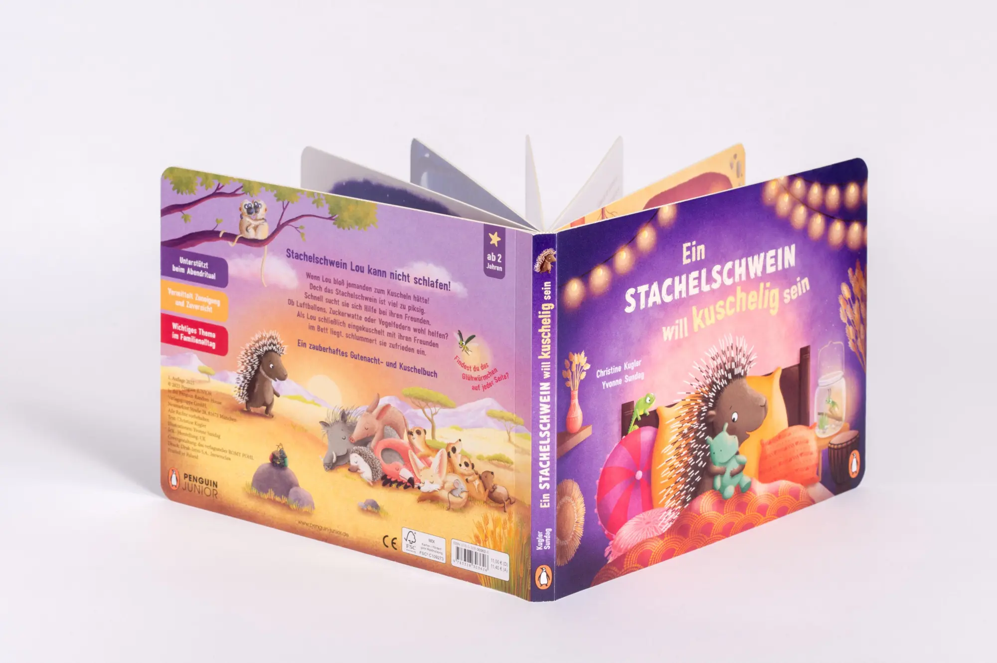 Bild: 9783328303626 | Ein Stachelschwein will kuschelig sein | Christine Kugler | Buch