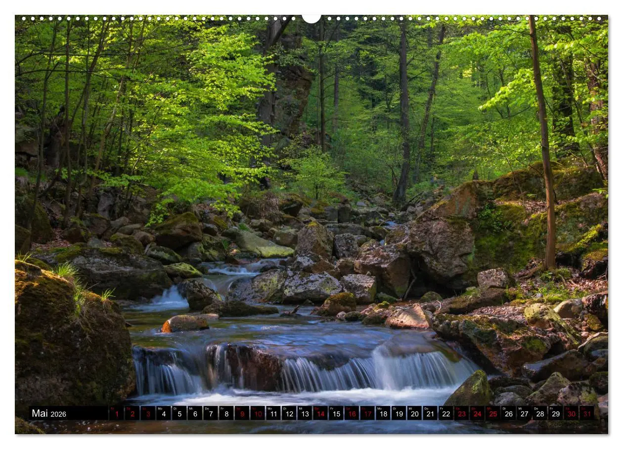 Bild: 9783457863626 | Flüsse und Seen im Harz (Wandkalender 2026 DIN A2 quer), CALVENDO...