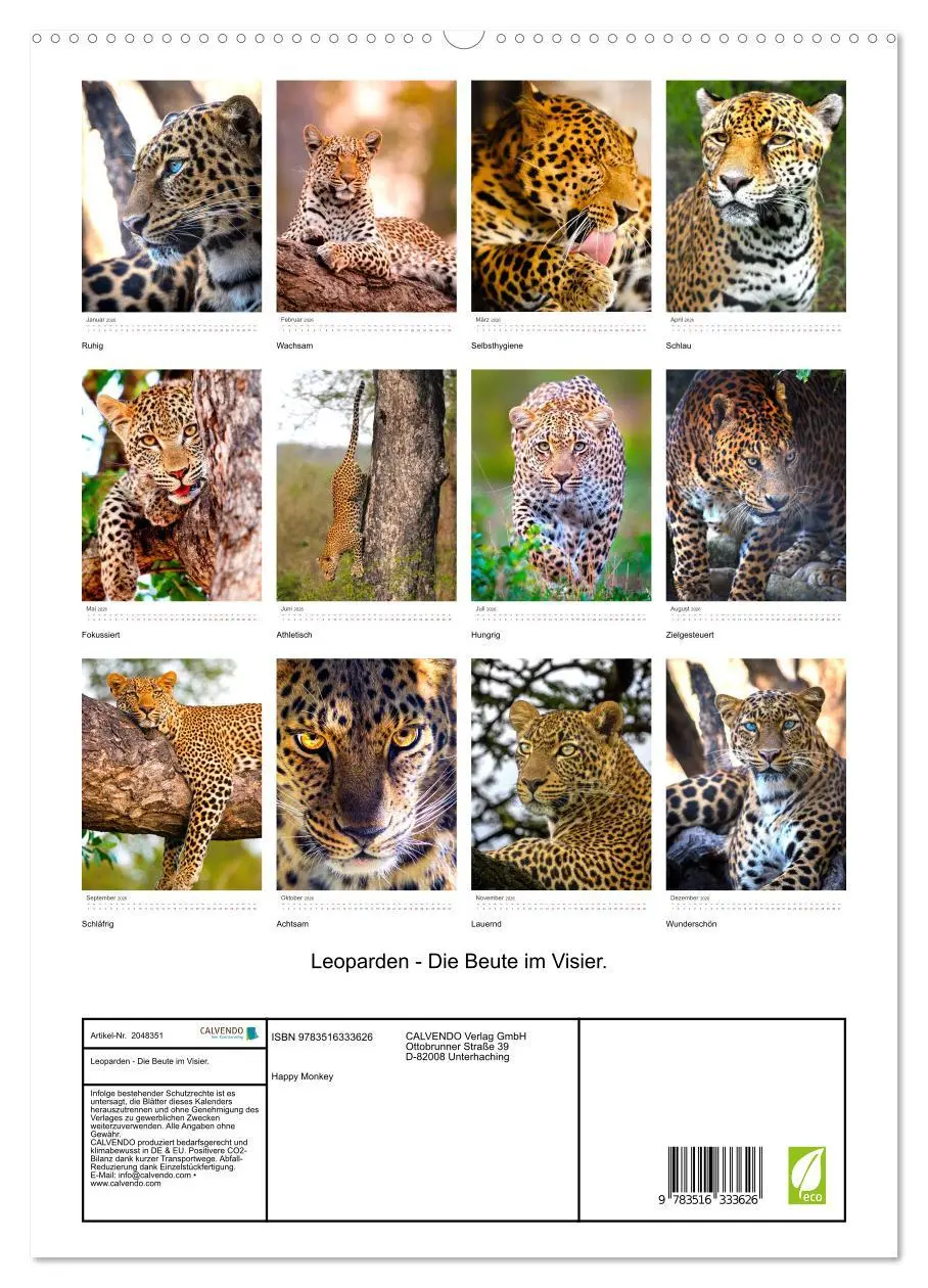 Bild: 9783516333626 | Leoparden - Die Beute im Visier. (hochwertiger Premium Wandkalender...