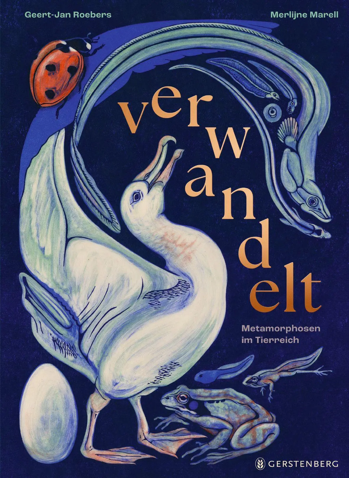 Cover: 9783836963626 | verwandelt | Metamorphosen im Tierreich | Geert-Jan Roebers | Buch