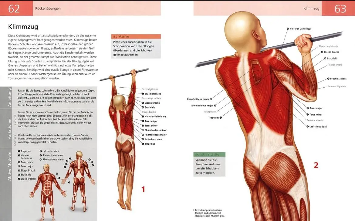 Bild: 9789089983626 | Das Anatomie-Buch der Fitness | Ken Ashwell | Taschenbuch | 192 S.