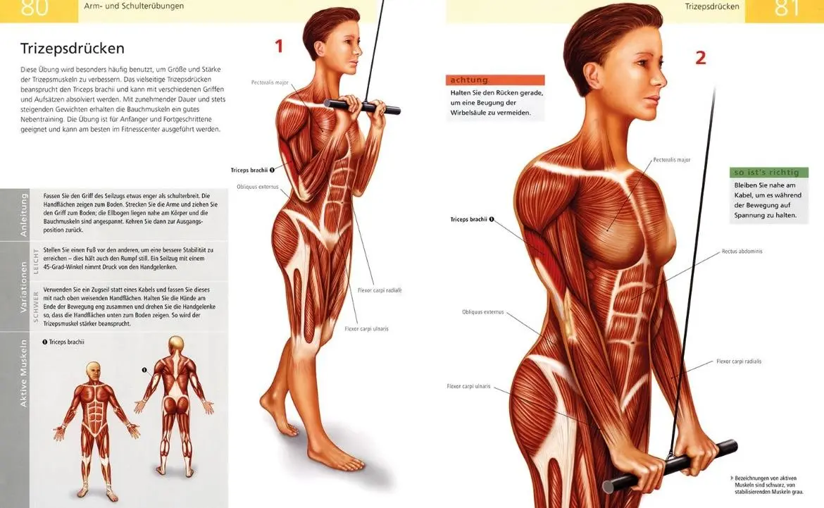 Bild: 9789089983626 | Das Anatomie-Buch der Fitness | Ken Ashwell | Taschenbuch | 192 S.