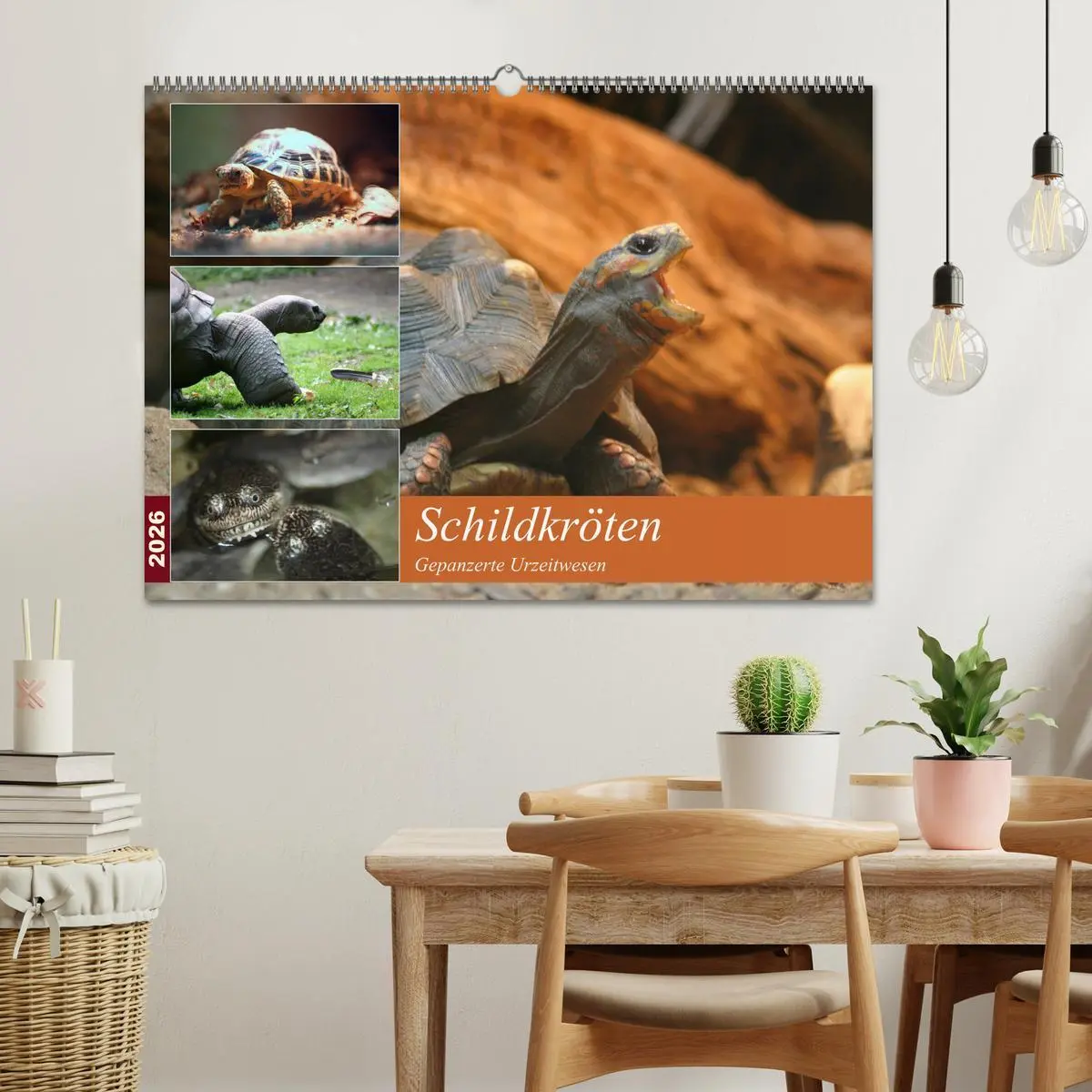 Bild: 9783516183726 | Schildkröten - Gepanzerte Urzeitwesen (Wandkalender 2026 DIN A2...