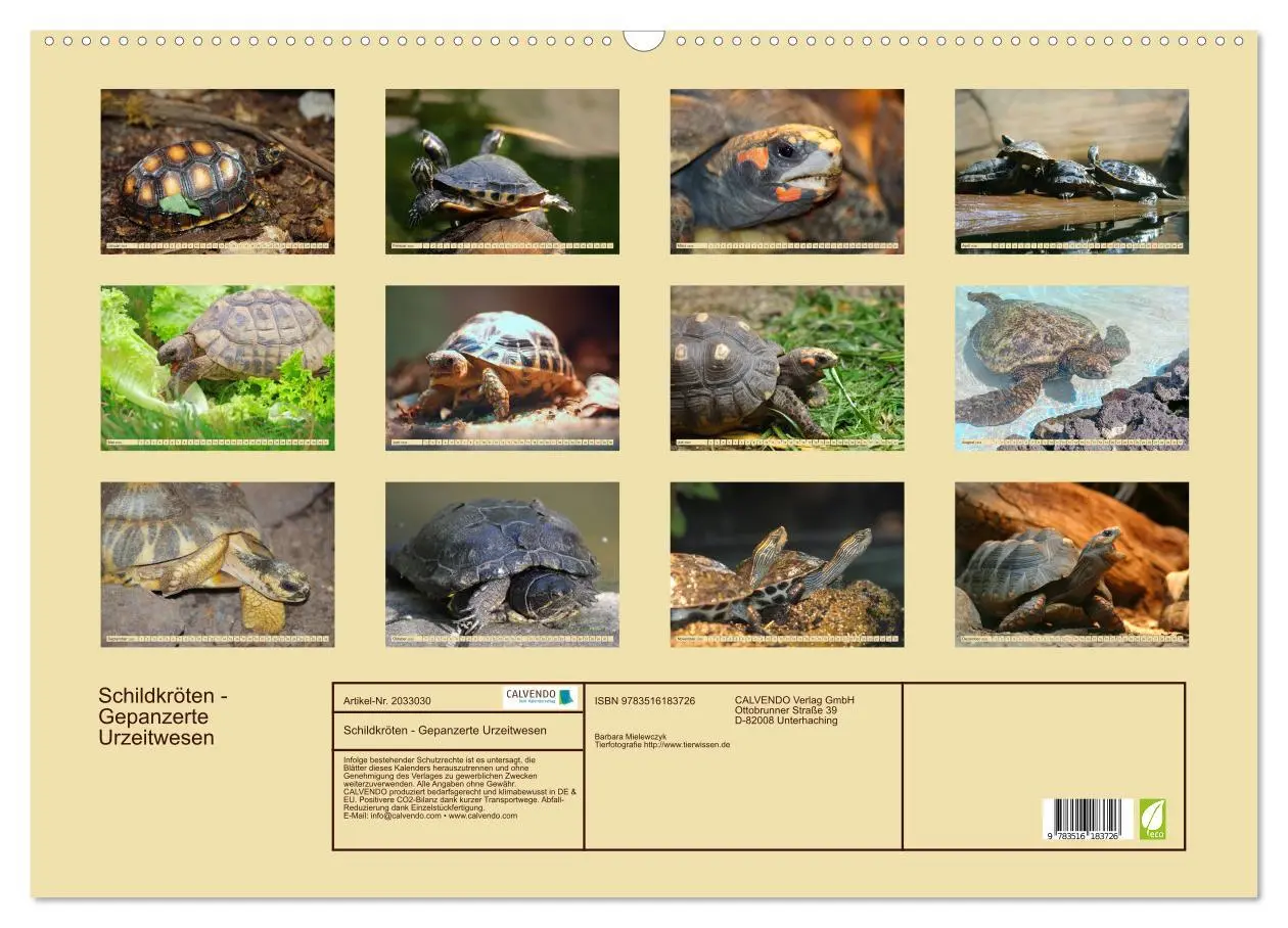 Bild: 9783516183726 | Schildkröten - Gepanzerte Urzeitwesen (Wandkalender 2026 DIN A2...