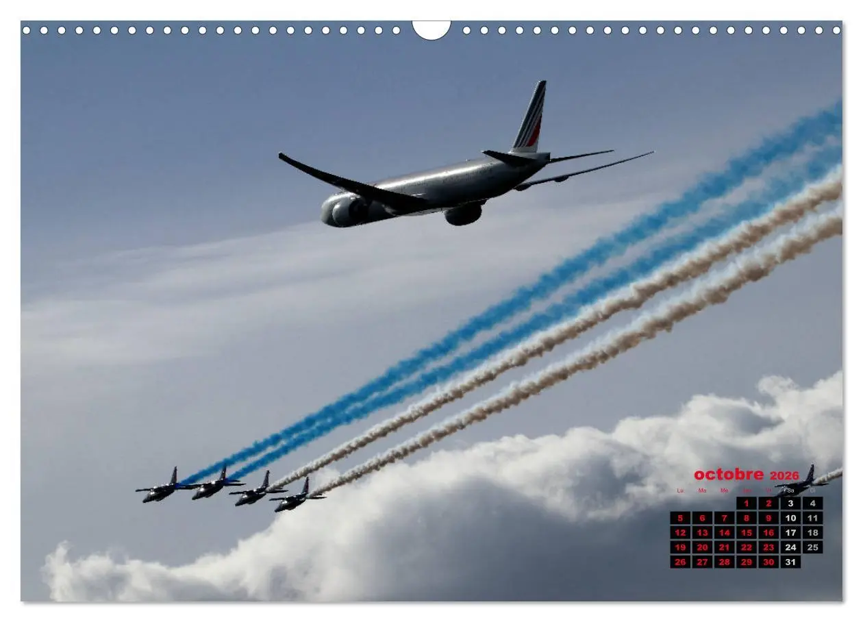 Bild: 9783516563726 | Les ailes françaises (Calendrier mural 2026 DIN A3 vertical),...