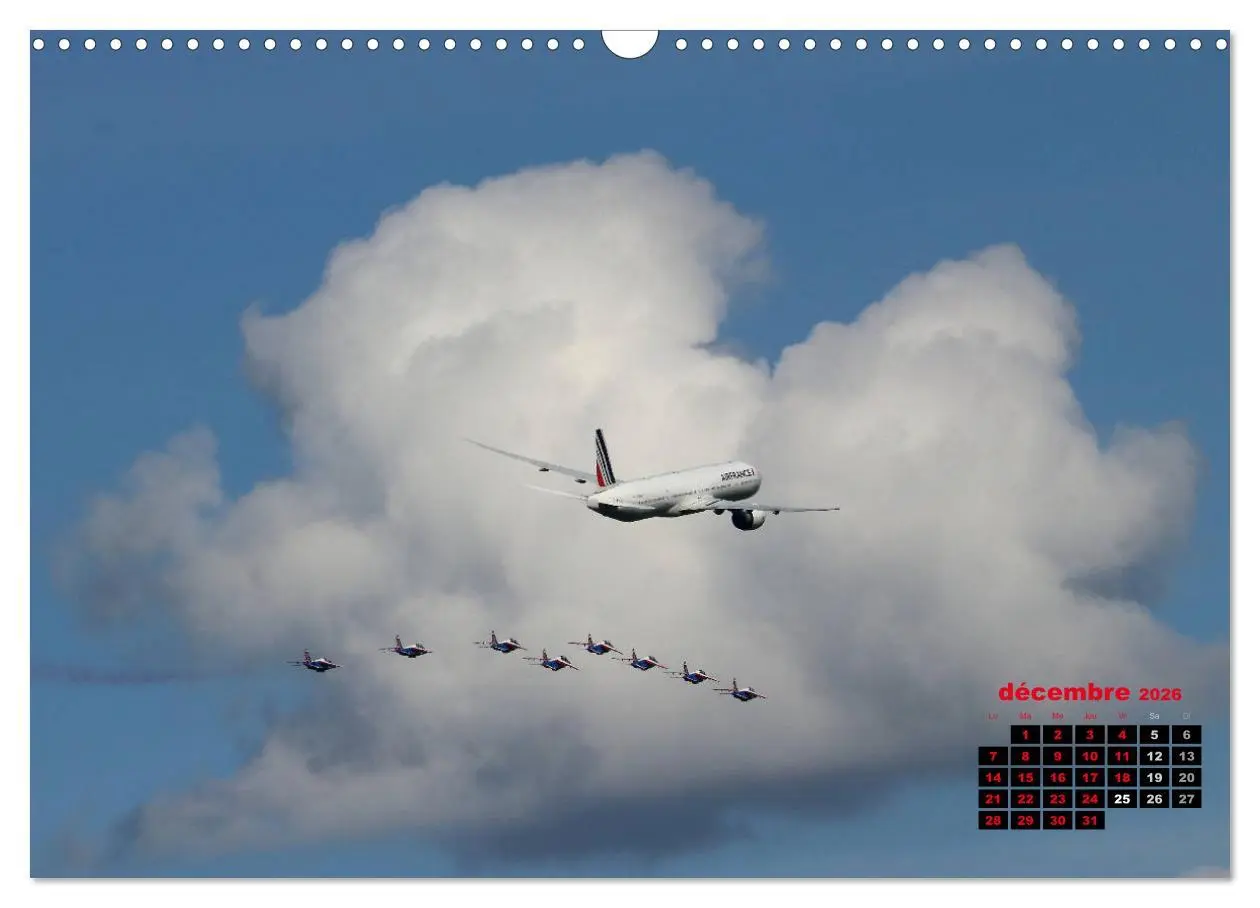Bild: 9783516563726 | Les ailes françaises (Calendrier mural 2026 DIN A3 vertical),...