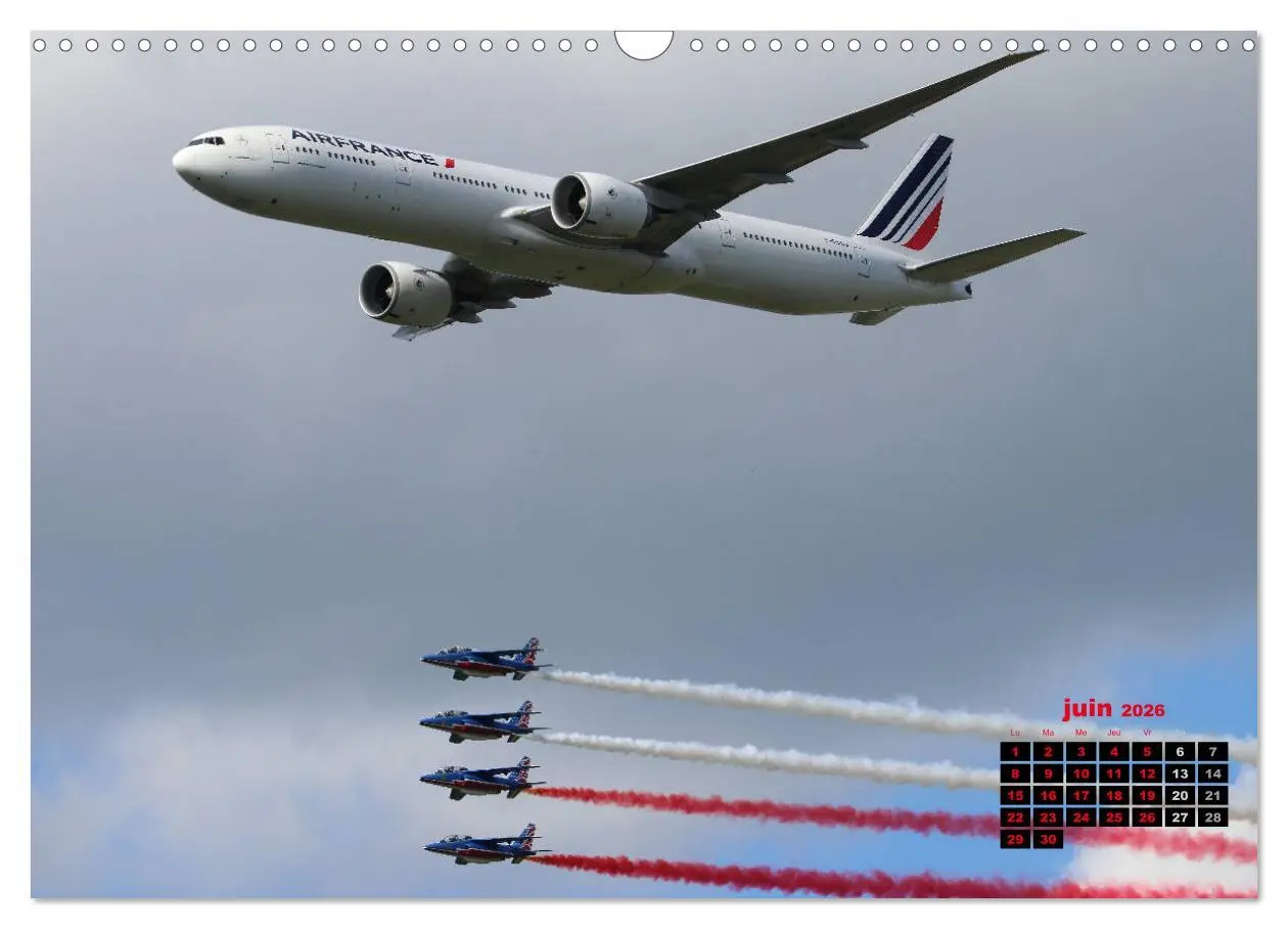 Bild: 9783516563726 | Les ailes françaises (Calendrier mural 2026 DIN A3 vertical),...