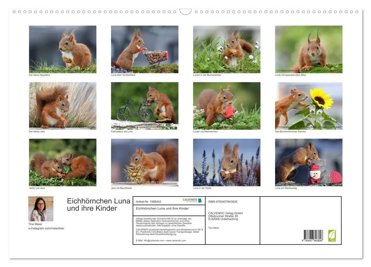Bild: 9783457843826 | Eichhörnchen Luna und ihre Kinder (Wandkalender 2026 DIN A2 quer),...