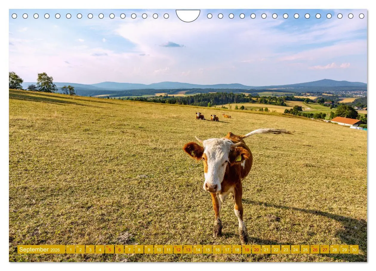 Bild: 9783457913826 | Faszination Oberpfalz (Wandkalender 2026 DIN A4 quer), CALVENDO...