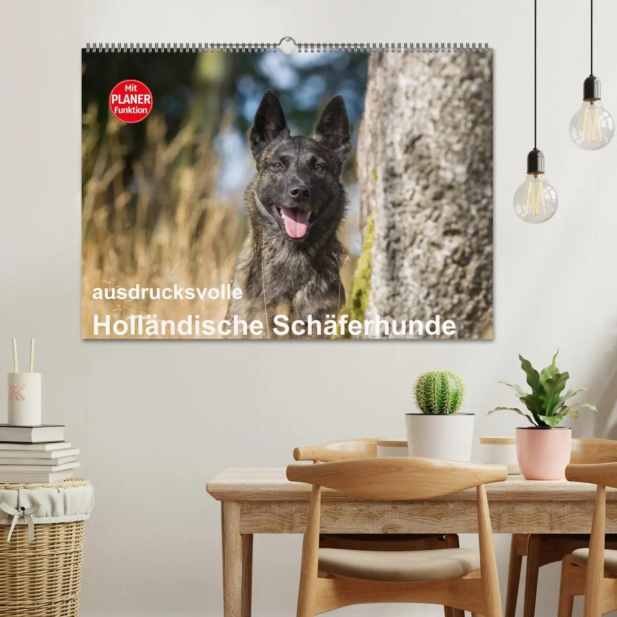Bild: 9783516003826 | ausdrucksvolle Holländische Schäferhunde (Wandkalender 2026 DIN A2...