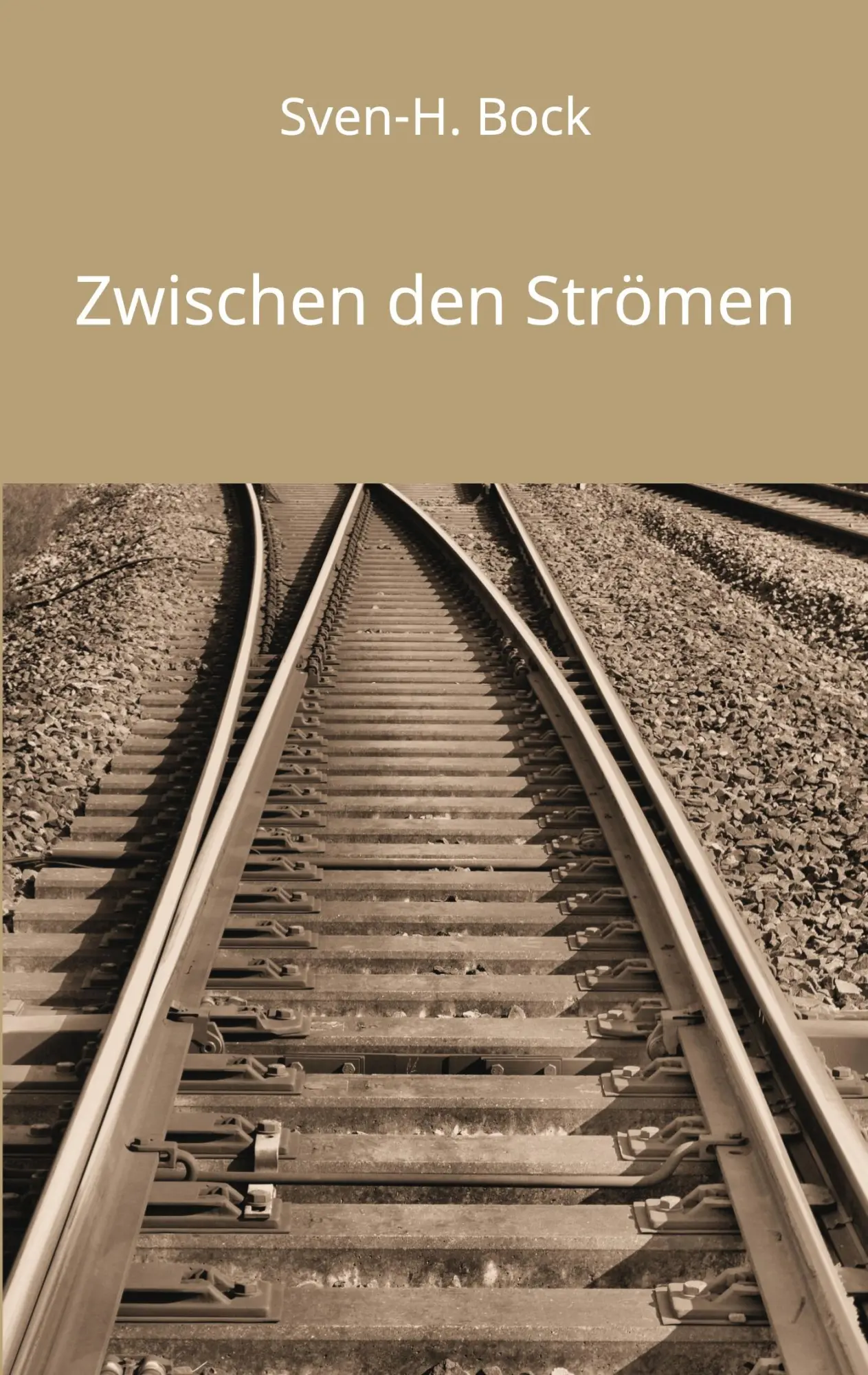 Cover: 9783769313826 | Zwischen den Strömen | Sven-H. Bock | Taschenbuch | 368 S. | Deutsch