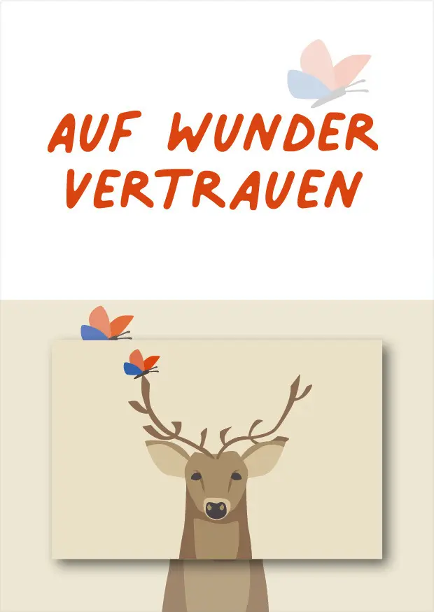 Cover: 9783960383826 | Auf Wunder vertrauen | Magnet mit Postkarte | Box | Deutsch | 2024