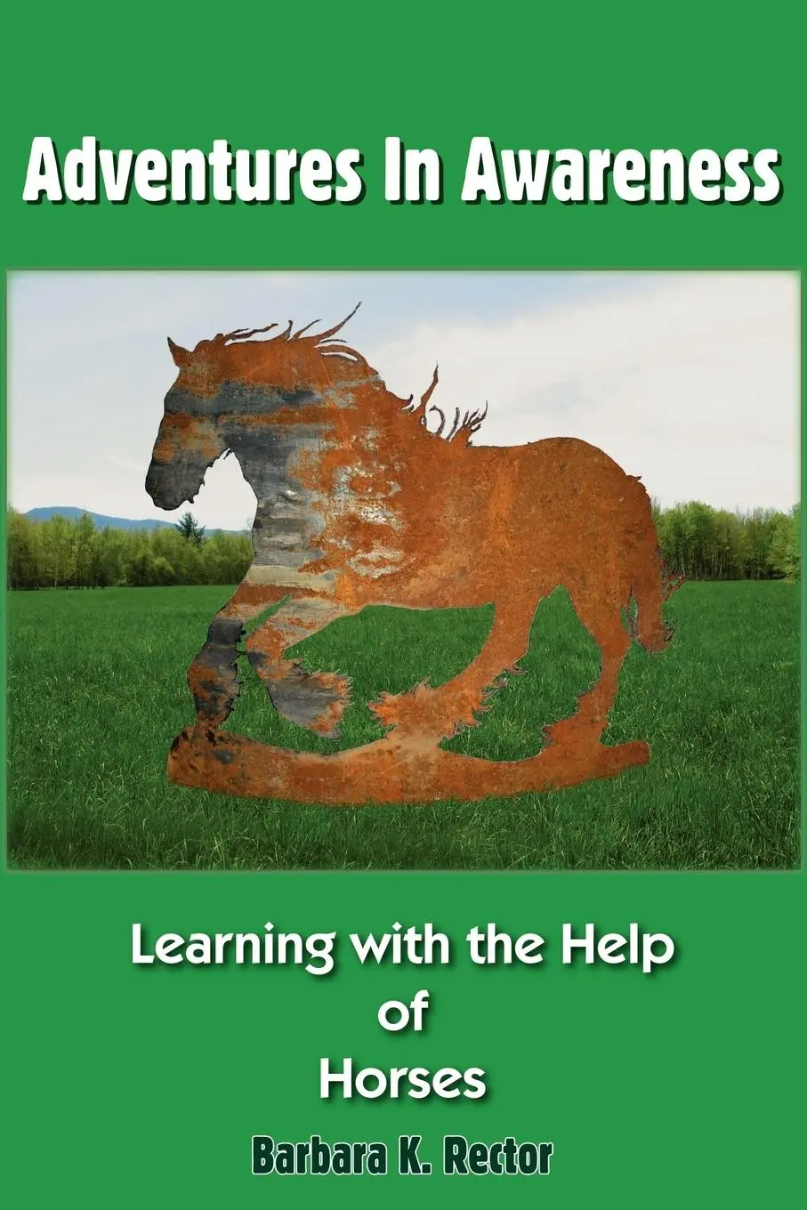 Cover: 9781420853926 | Adventures in Awareness | Learning with the Help of Horses | Rector