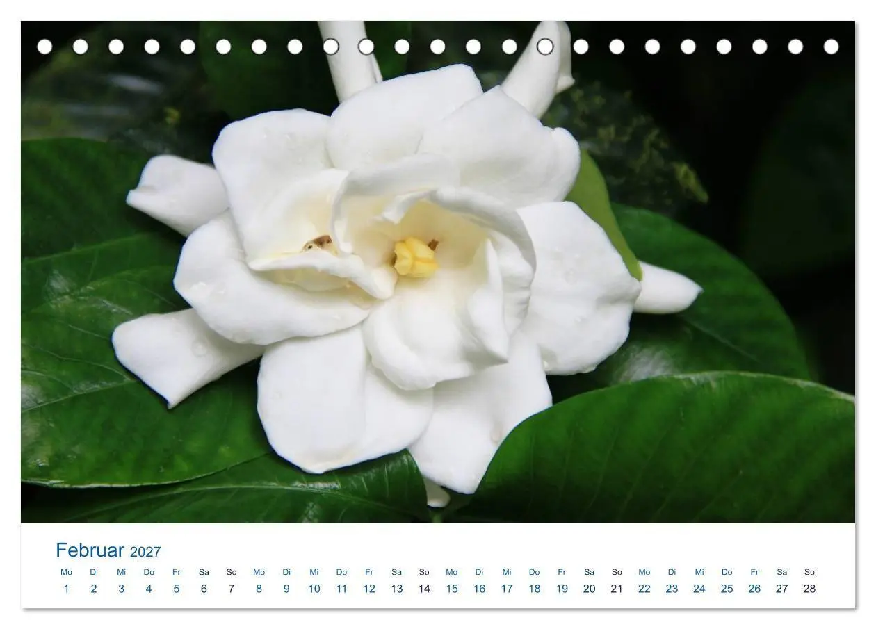 Bild: 9783569943926 | Südsee-Insel Mo'orea (Tischkalender 2027 DIN A5 quer), CALVENDO...