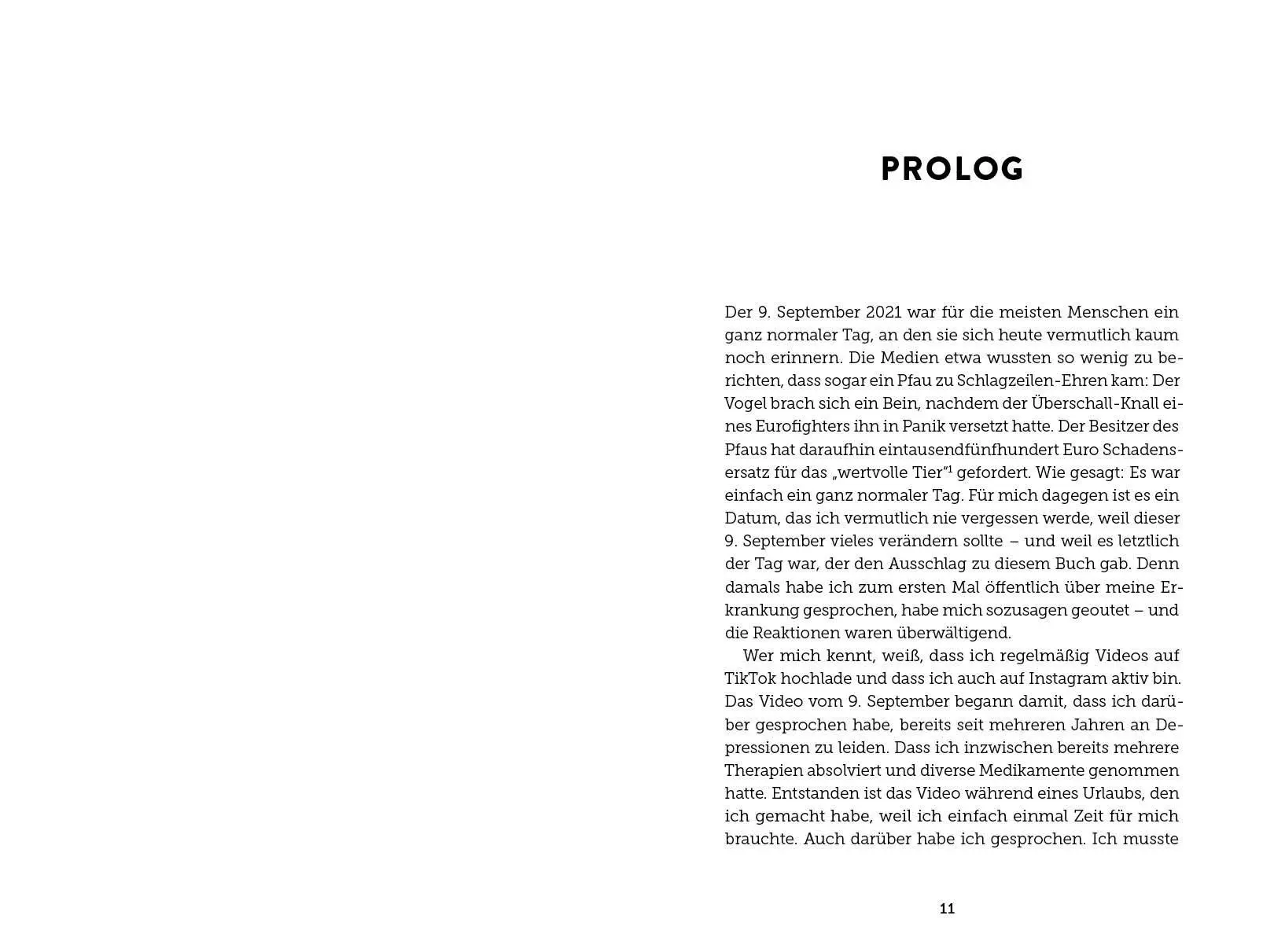 Bild: 9783745923926 | Pflegers Struggle | Metin Dogru | Taschenbuch | 256 S. | Deutsch