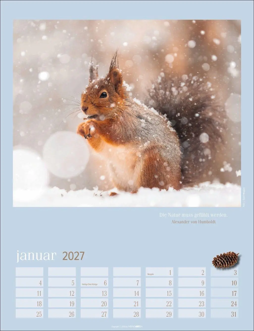 Bild: 9783839903926 | Eichhörnchen Kalender 2027 | Kalender | Tierkalender Weingarten | 2027
