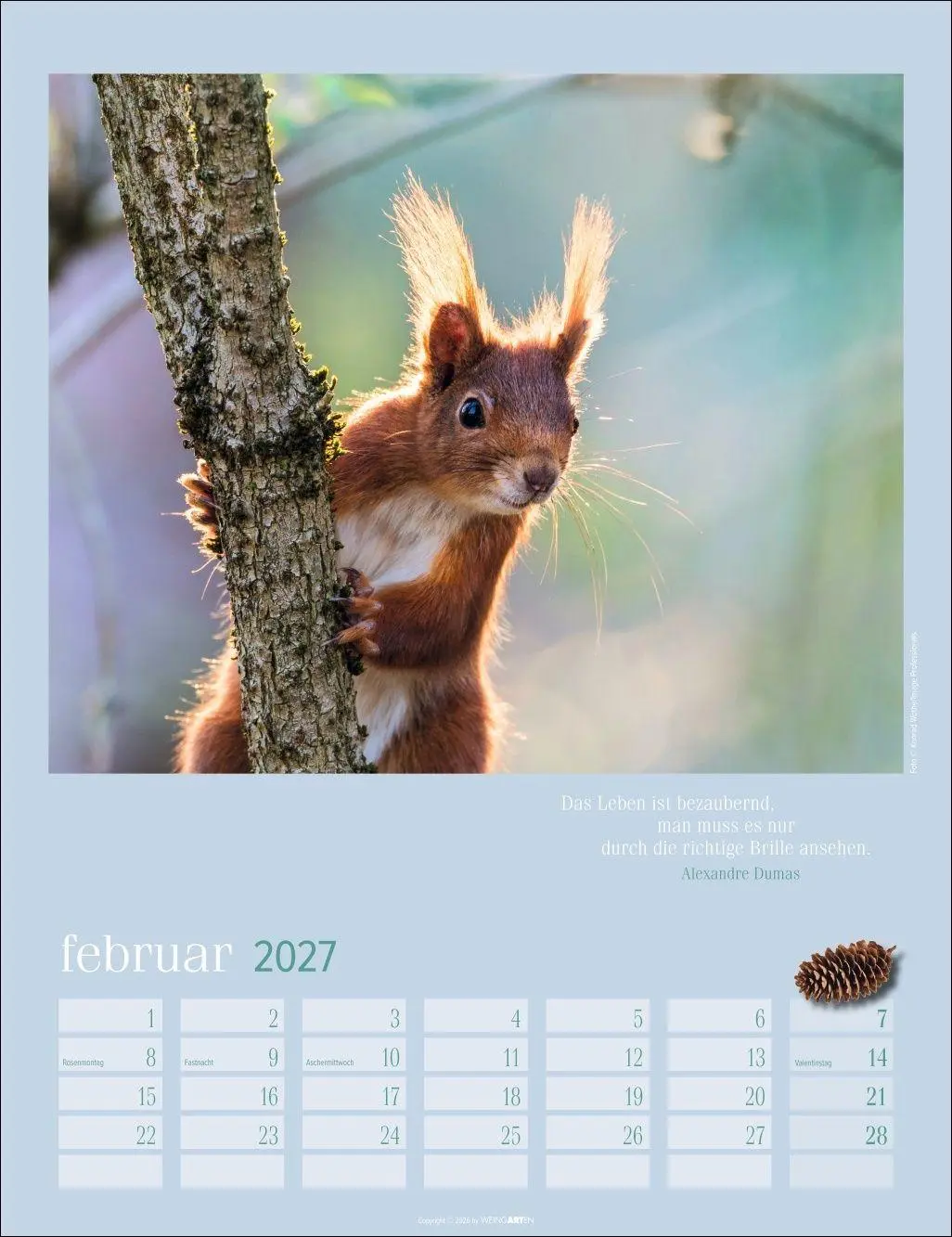 Bild: 9783839903926 | Eichhörnchen Kalender 2027 | Kalender | Tierkalender Weingarten | 2027