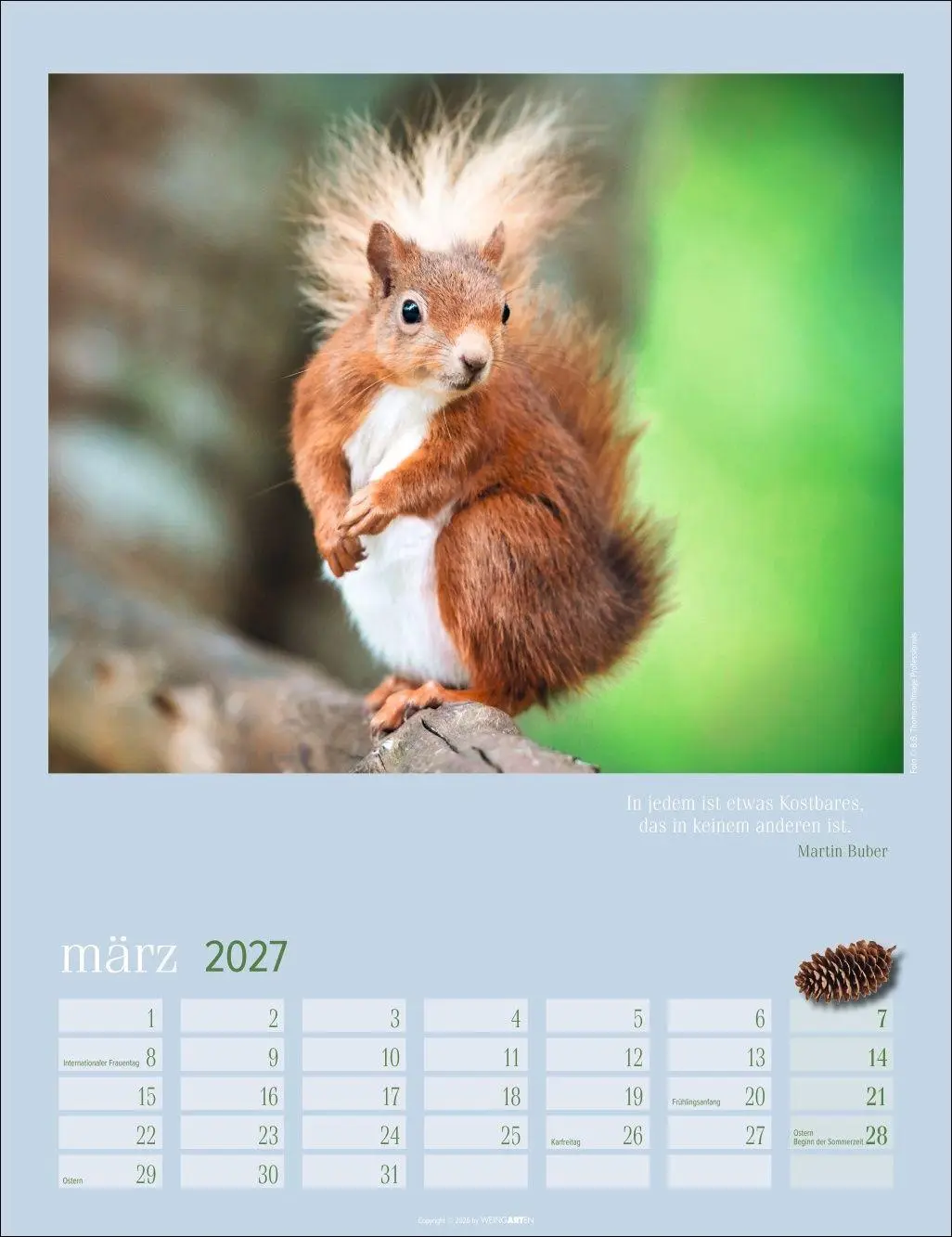 Bild: 9783839903926 | Eichhörnchen Kalender 2027 | Kalender | Tierkalender Weingarten | 2027