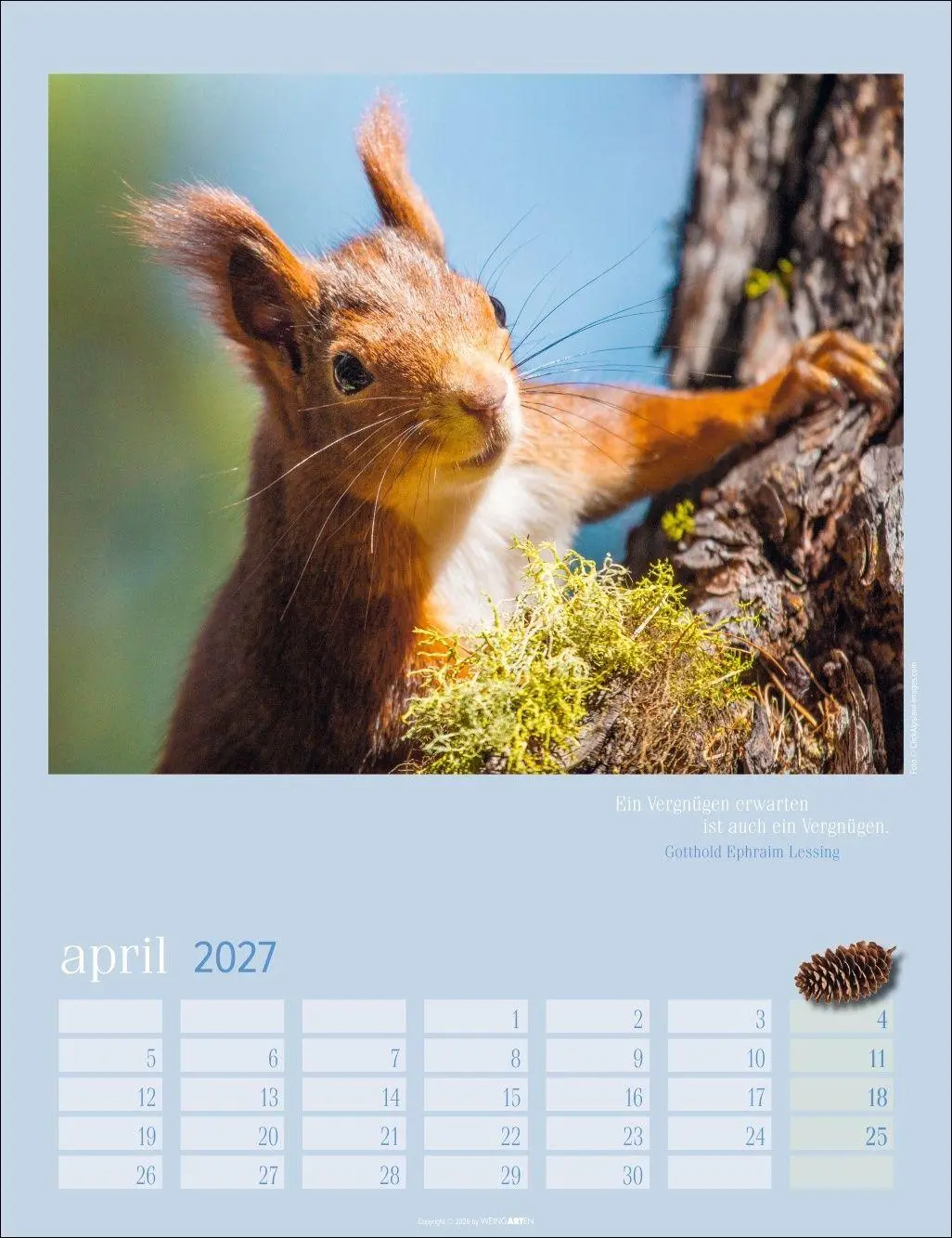 Bild: 9783839903926 | Eichhörnchen Kalender 2027 | Kalender | Tierkalender Weingarten | 2027