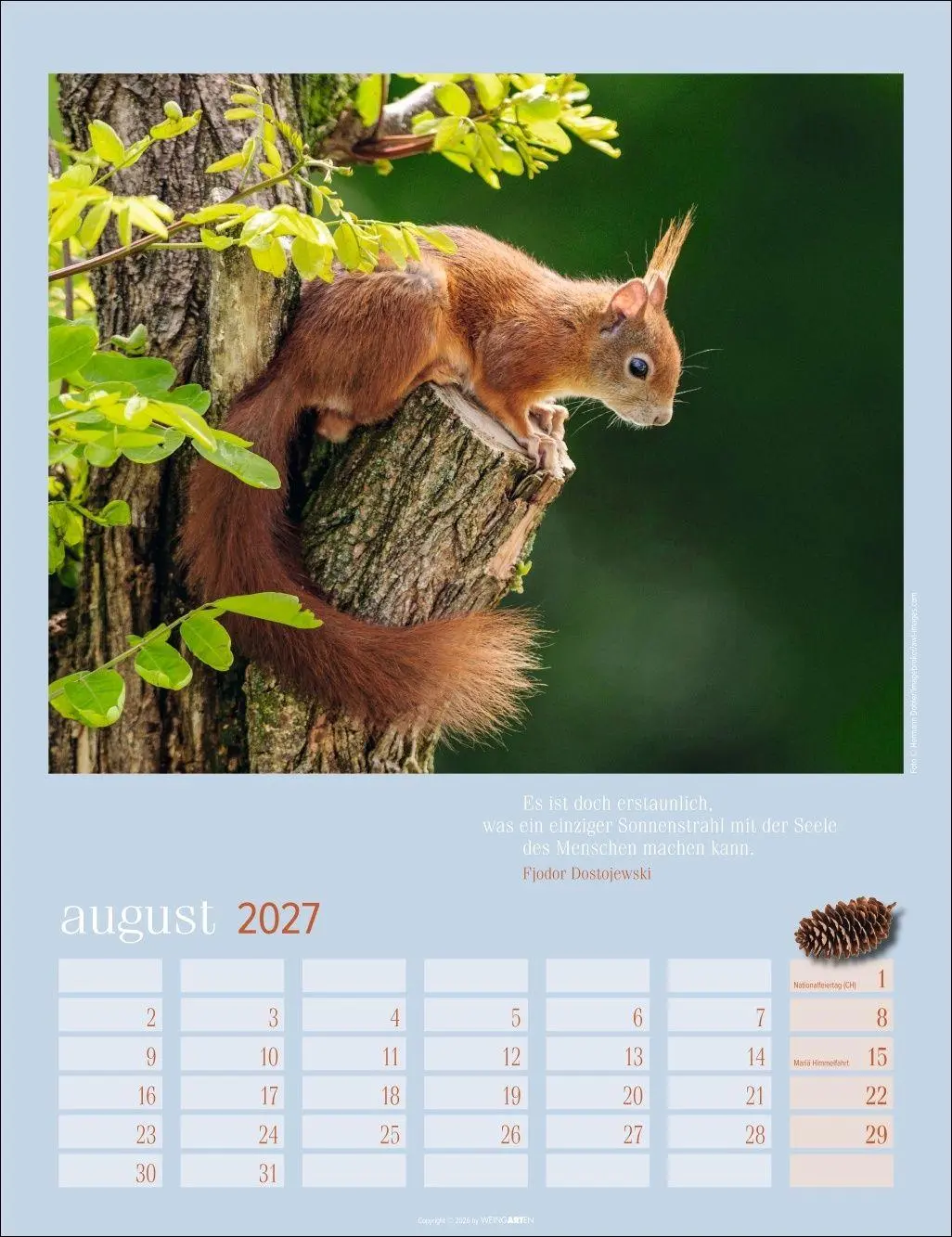 Bild: 9783839903926 | Eichhörnchen Kalender 2027 | Kalender | Tierkalender Weingarten | 2027