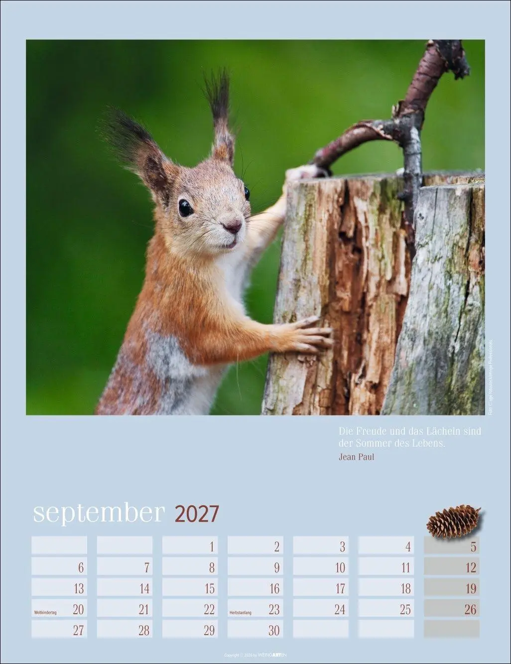 Bild: 9783839903926 | Eichhörnchen Kalender 2027 | Kalender | Tierkalender Weingarten | 2027