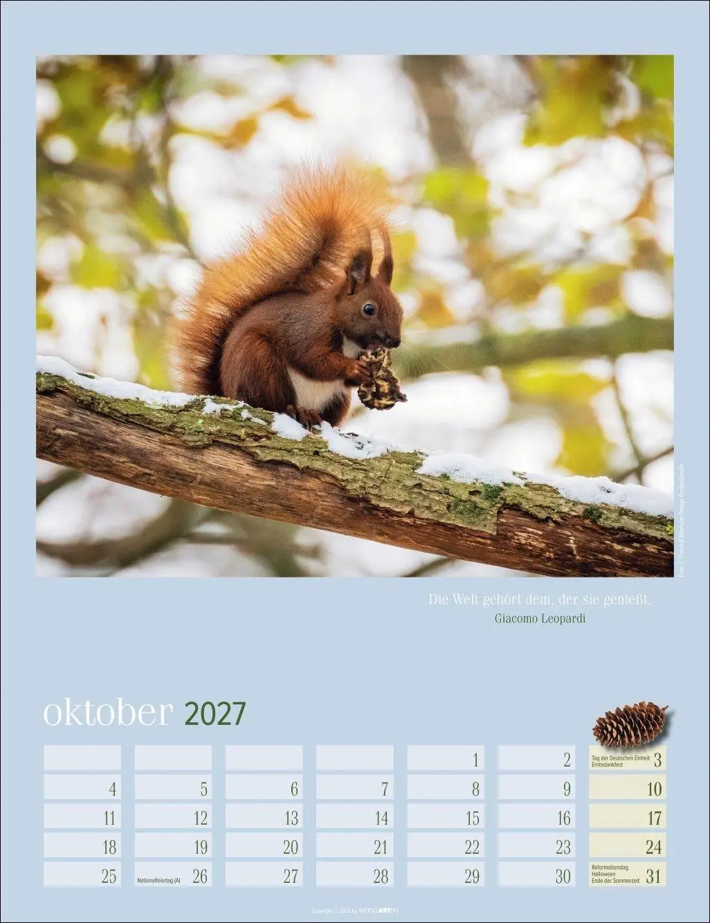 Bild: 9783839903926 | Eichhörnchen Kalender 2027 | Kalender | Tierkalender Weingarten | 2027