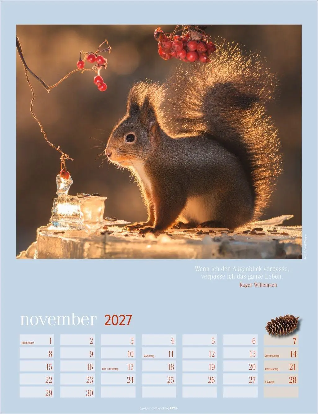 Bild: 9783839903926 | Eichhörnchen Kalender 2027 | Kalender | Tierkalender Weingarten | 2027