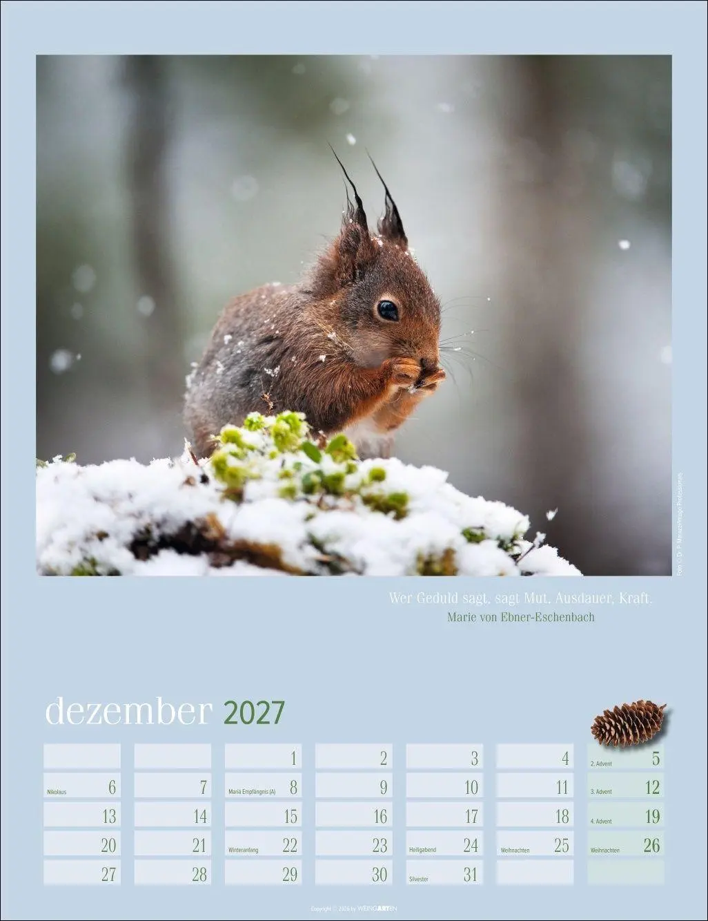 Bild: 9783839903926 | Eichhörnchen Kalender 2027 | Kalender | Tierkalender Weingarten | 2027