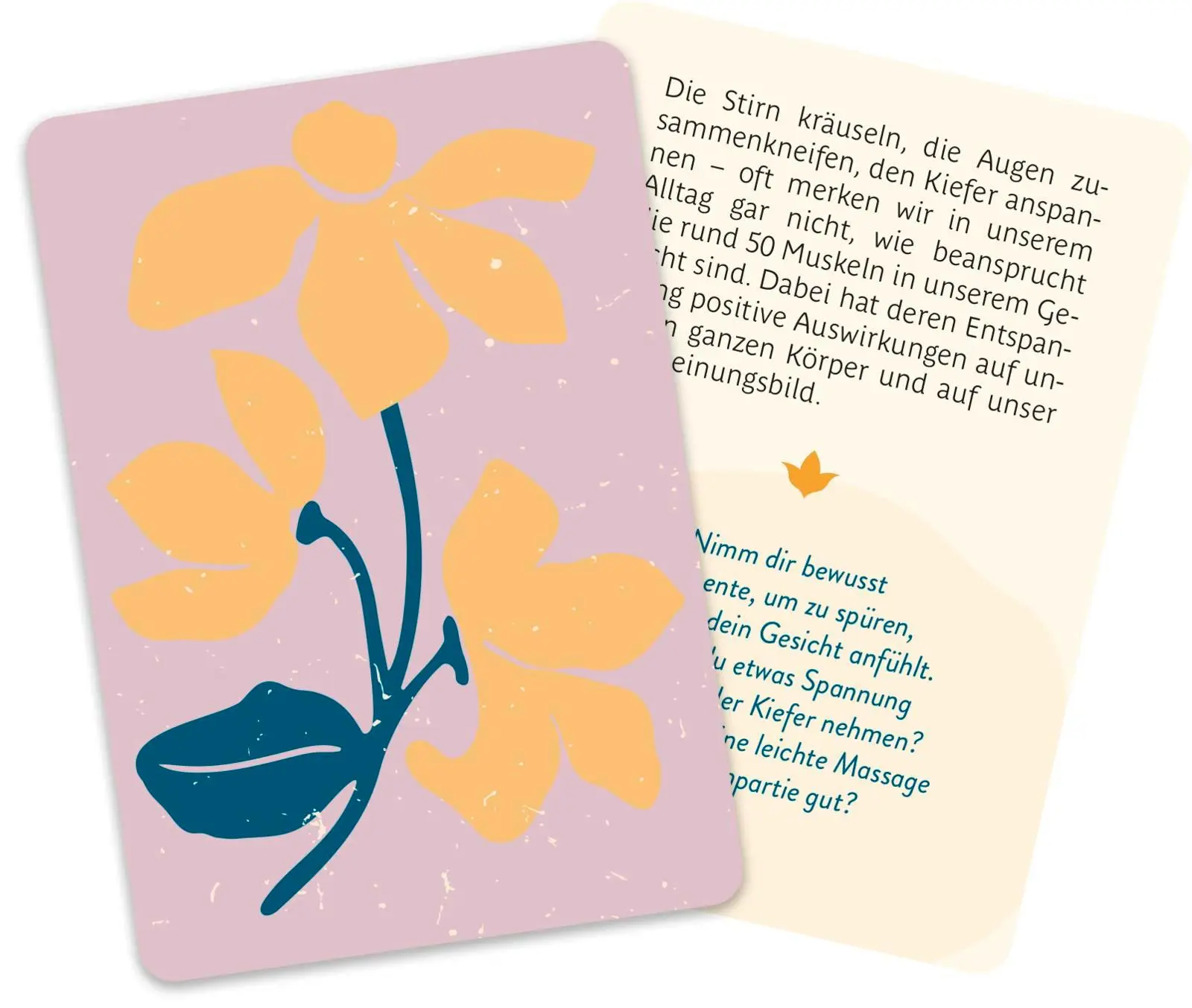 Bild: 9783848503926 | Kartenset: einfach ganz leben | Groh Verlag | Taschenbuch | Schachtel