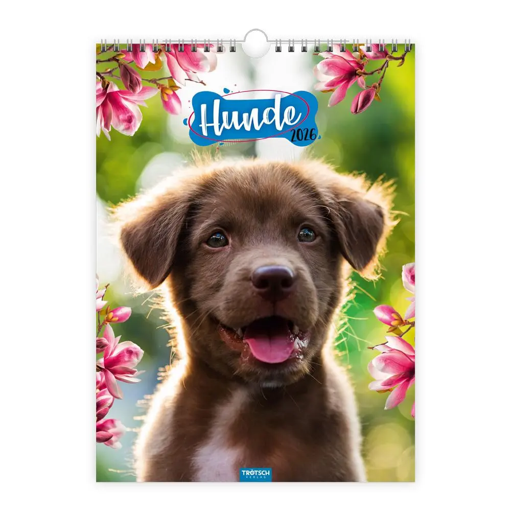 Cover: 9783988023926 | Trötsch Classickalender Hunde 2026 | Wandkalender | KG | Kalender