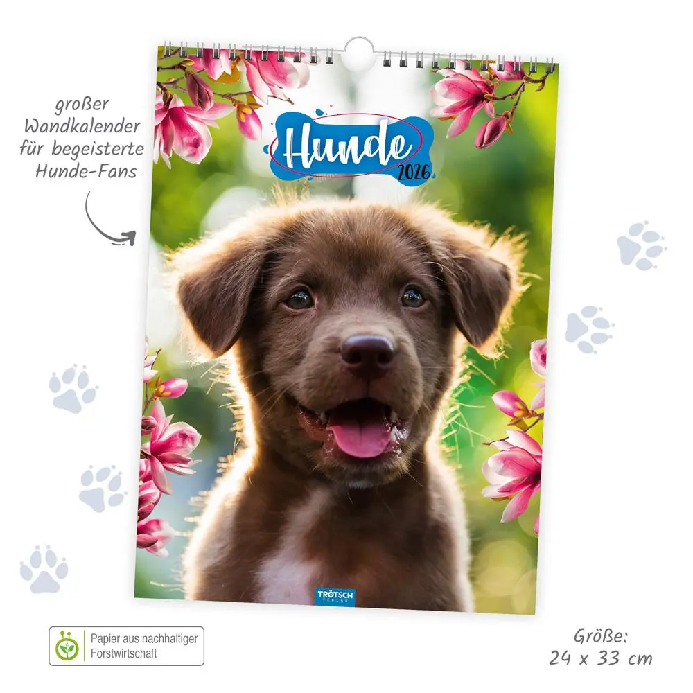 Bild: 9783988023926 | Trötsch Classickalender Hunde 2026 | Wandkalender | KG | Kalender