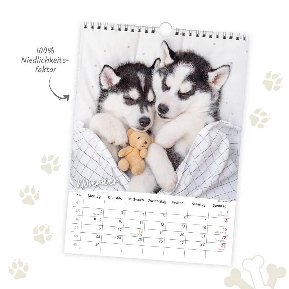 Bild: 9783988023926 | Trötsch Classickalender Hunde 2026 | Wandkalender | KG | Kalender