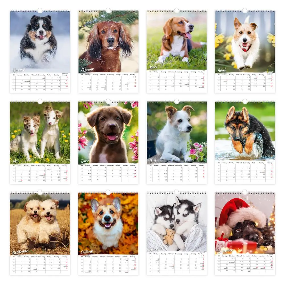 Bild: 9783988023926 | Trötsch Classickalender Hunde 2026 | Wandkalender | KG | Kalender