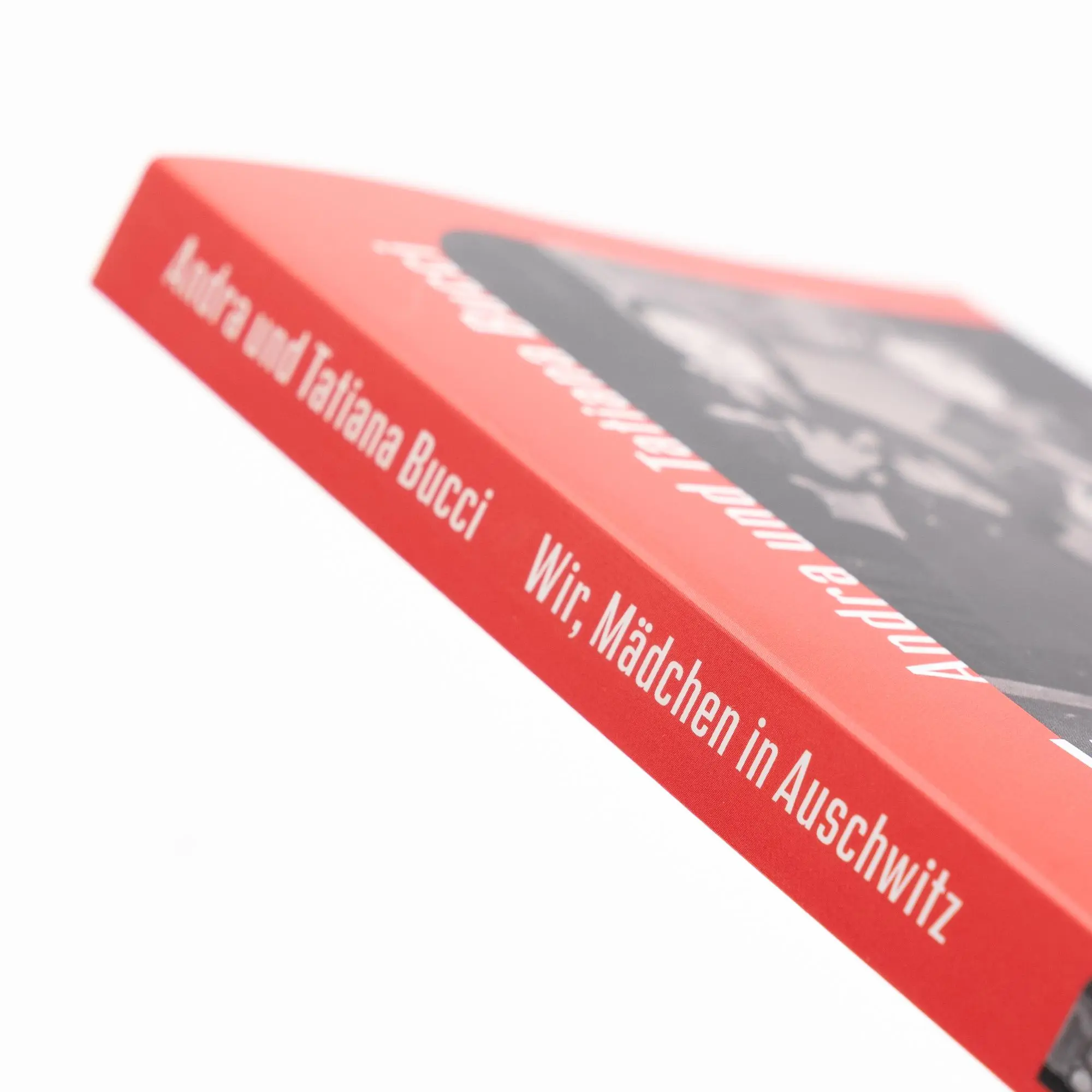 Bild: 9783312014026 | Wir, Mädchen in Auschwitz | Andra Bucci (u. a.) | Taschenbuch | 184 S.